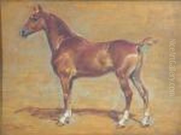 Equine Study - view 1