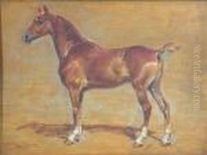 Equine Study by Henri Julien Rousseau