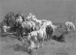 Chevaux Camargues Chevaux Camargues