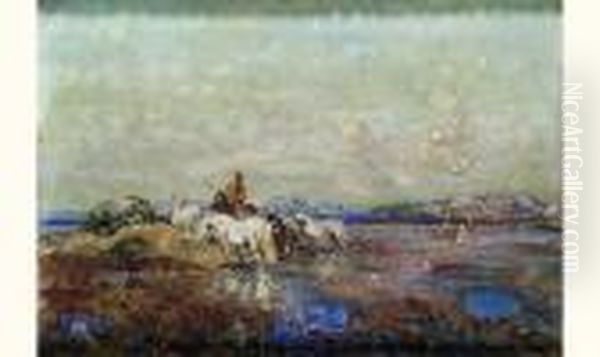Dans Les Marais De Camargue - view 1