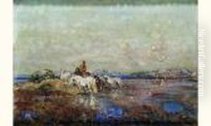 Dans Les Marais De Camargue