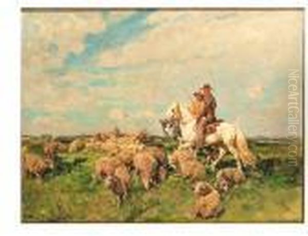 En Camargue : Chevaux Et Moutons - view 1