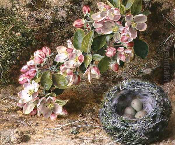 Blossom and Birds nest - view 1