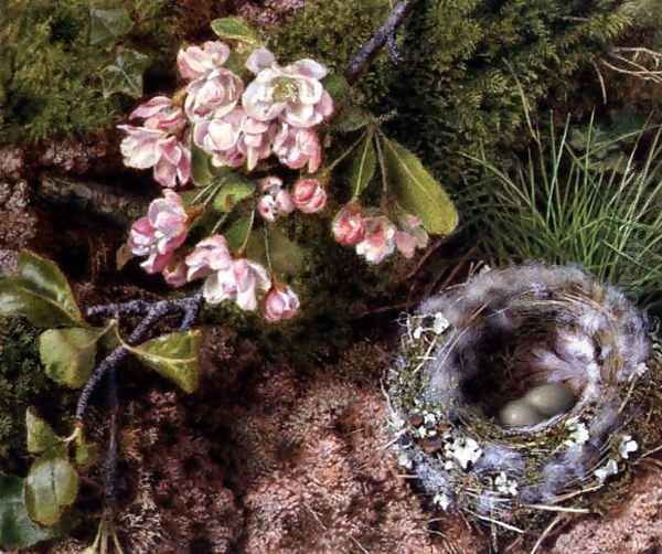 A Birds Nest and Apple Blossom - view 1