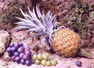A Pineapple and Bunches of Grapes on a Mossy Bank, 1879