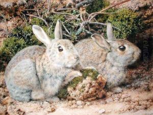 Two Rabbits by John Sherrin