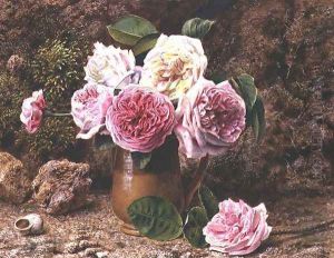 Roses by John Sherrin