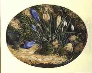 Crocuses and Snowdrops by John Sherrin
