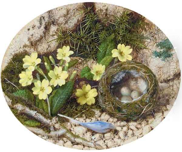 Primroses, a crocus and a bird's nest, on a mossy bank - view 1