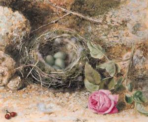 Still life with a birds nest, redcurrants and a rose by John Sherrin