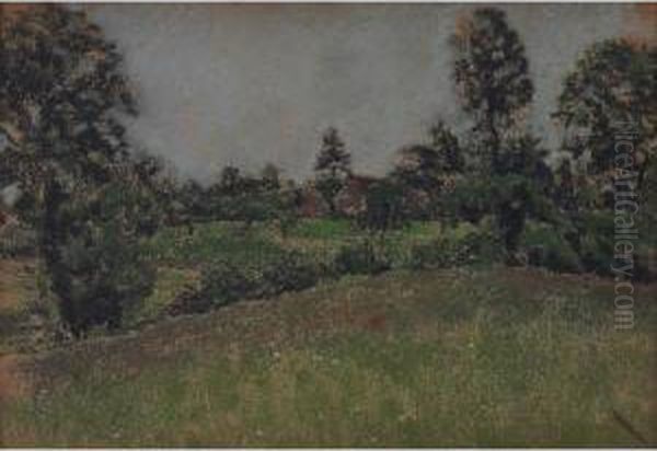 Landscape - view 1