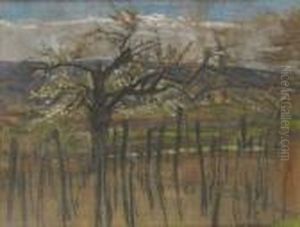 Paysage Aux Arbres
