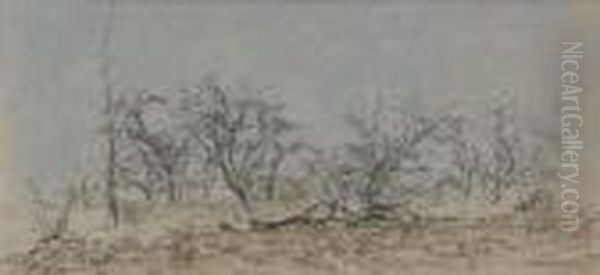 Paysage - view 1