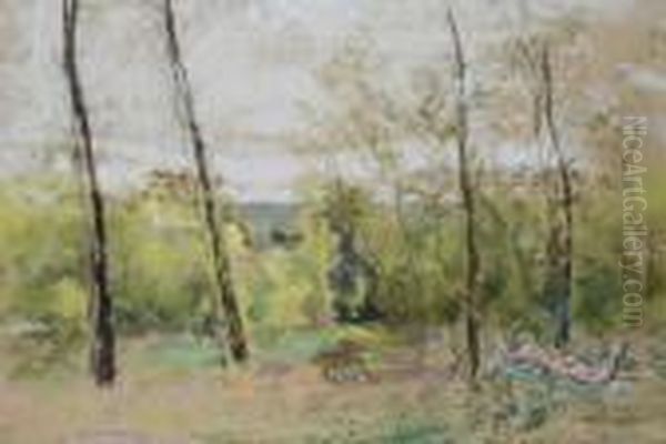 Pan Dans Le Foret - view 1