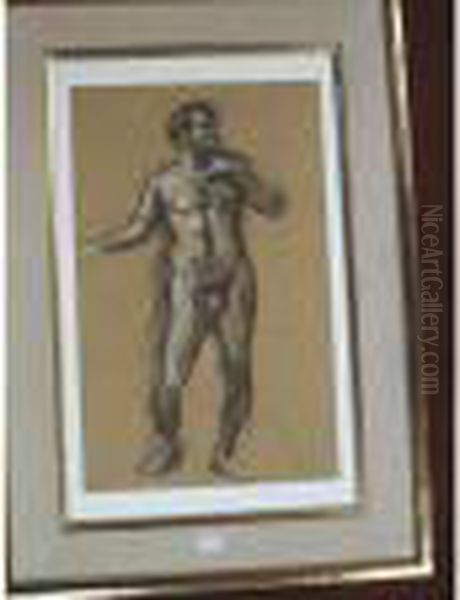 Nu Academique Masculin - view 1