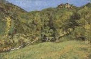 Paysage Paysage