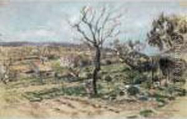Paysage Du Midi - view 1