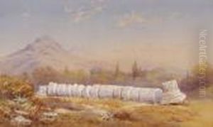 Corinthian Columns by Charles Rowbotham