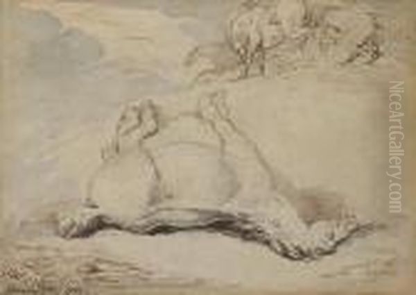 Study Of Horses - view 1