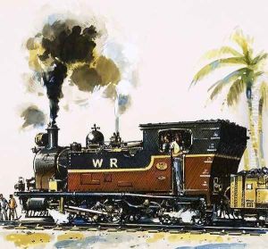 Narrow guage WT class Bagnall-built tank engine on the Western Railways by John S. Smith