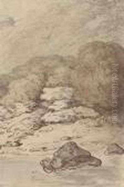A River In Spate - view 1