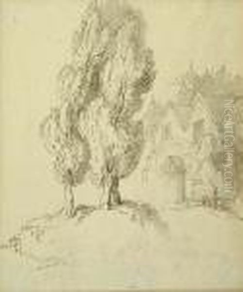 House And Poplar Trees - view 1