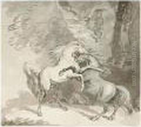 Horses Fighting On A Woodland Path - view 1
