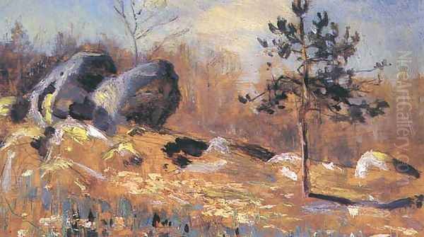 Landscape with a Pine Tree - view 1