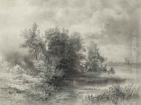 A woodland stream - view 1