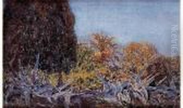 " Jardin A Soukra ". - view 1