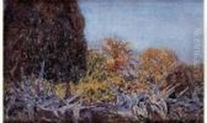 " Jardin A Soukra ". thumbnail