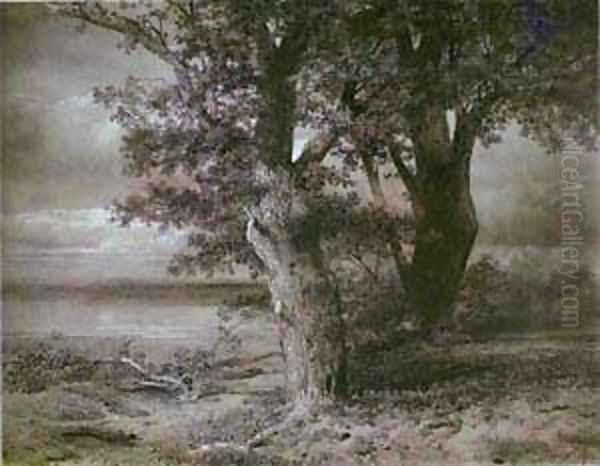 Oaks On River Bank 1867 - view 1