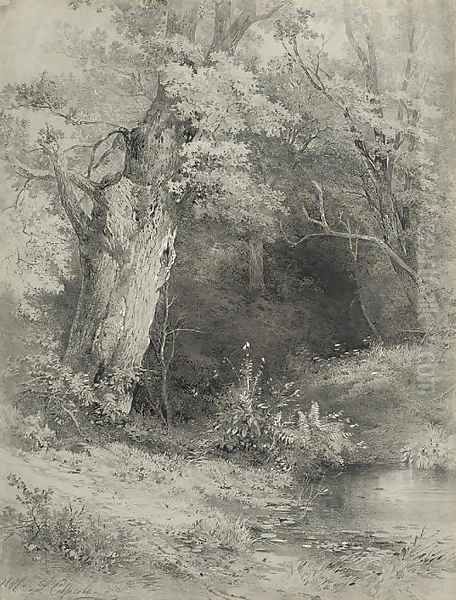 A riverbank - view 1