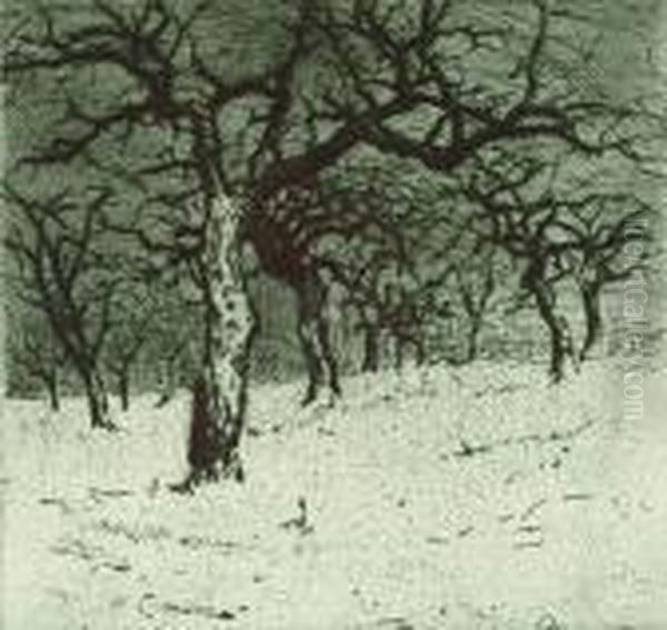 Sad. Drzewa W Sniegu - view 1