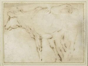 Study Of A Cow by (studio of) Rubens, Peter Paul