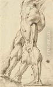 An Ecorche Study Of The Legs Of A Male Nude, With A Subsidiary Study Of The Right Leg
