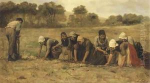 Harvesting potatoes by Philippe Lodowyck Jacob Sadee