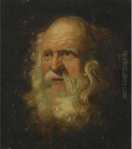 Study Of A Bearded Man by (studio of) Rubens, Peter Paul