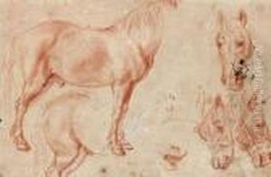 Etude De Chevaux