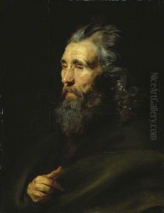 Head Study Of A Bearded Man by (studio of) Rubens, Peter Paul