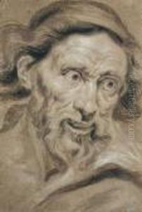 The Head Of A Bearded Man by (studio of) Rubens, Peter Paul