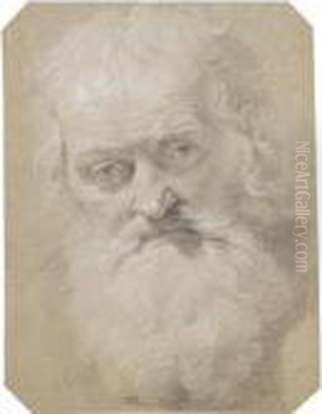 Study Of The Head Of An Old Bearded Man - view 1