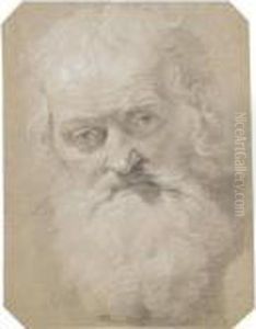 Study Of The Head Of An Old Bearded Man by (studio of) Rubens, Peter Paul