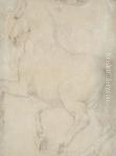 View Of A Horse From Behind - view 1