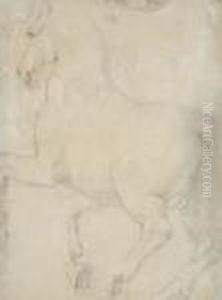 View Of A Horse From Behind by (studio of) Rubens, Peter Paul
