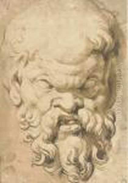 Head Of A Satyr - view 1