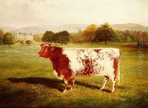 Portrait of a Shorthorn by William Joseph Shayer