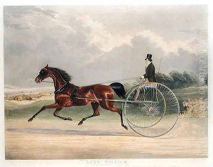 Lord William, engraved by J.R. Macrell fl.1845, 1845 by William Joseph Shayer