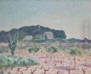 Vineyard, South Of France by Bonny Rupert
