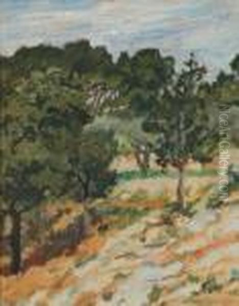 Bunny Provence Landscape - view 1